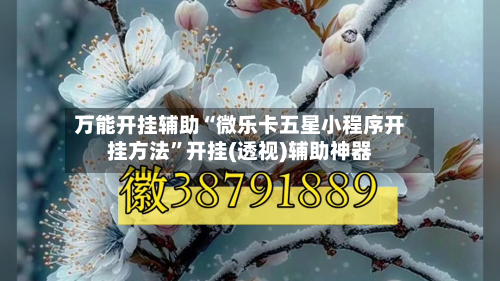万能开挂辅助“微乐卡五星小程序开挂方法	”开挂(透视)辅助神器-第2张图片