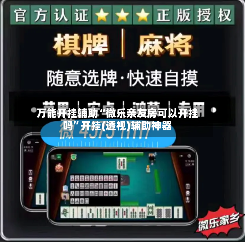 万能开挂辅助“微乐亲友房可以开挂吗”开挂(透视)辅助神器-第2张图片