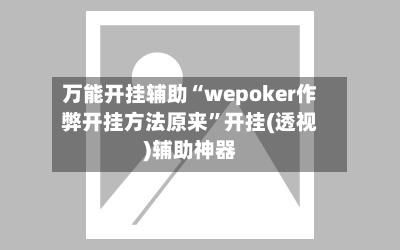 万能开挂辅助“wepoker作弊开挂方法原来	”开挂(透视)辅助神器-第2张图片