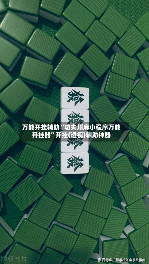 万能开挂辅助“功夫川麻小程序万能开挂器”开挂(透视)辅助神器-第2张图片