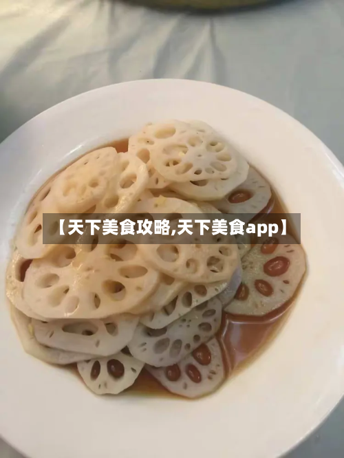 【天下美食攻略,天下美食app】