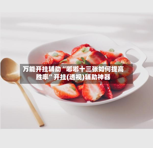 万能开挂辅助“嘟嘟十三张如何提高胜率”开挂(透视)辅助神器-第2张图片