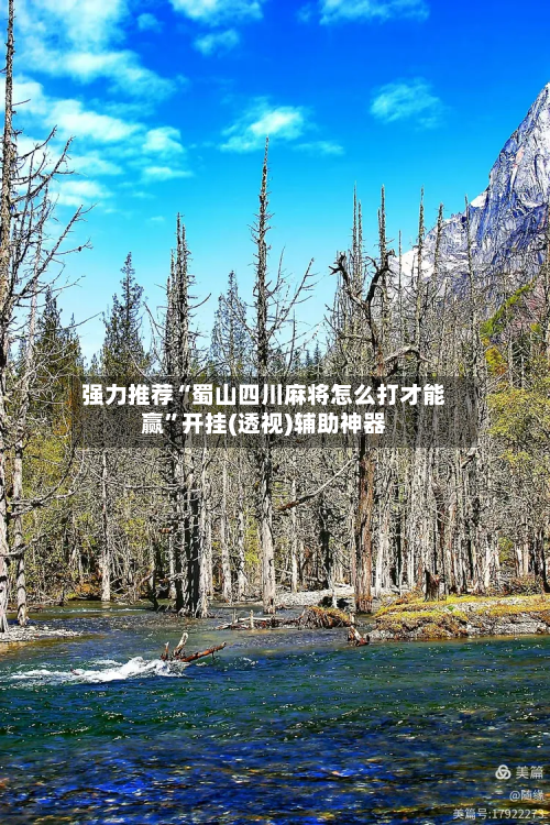 强力推荐“蜀山四川麻将怎么打才能赢”开挂(透视)辅助神器