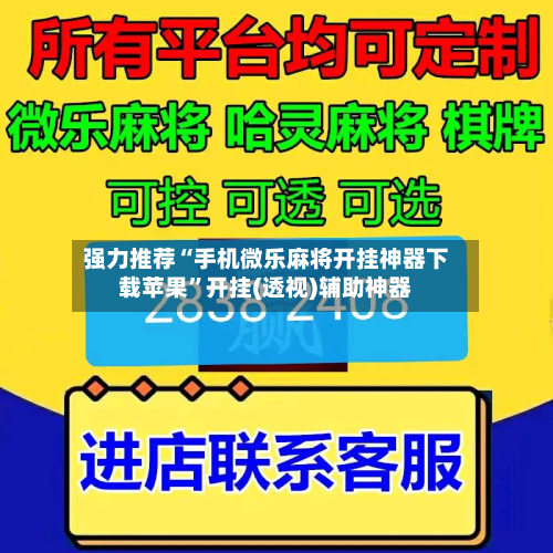强力推荐“手机微乐麻将开挂神器下载苹果”开挂(透视)辅助神器-第3张图片
