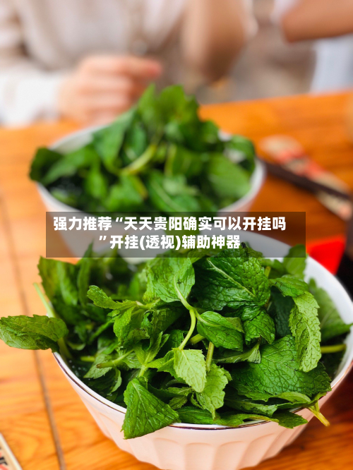 强力推荐“天天贵阳确实可以开挂吗	”开挂(透视)辅助神器-第2张图片