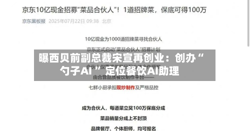曝西贝前副总裁宋宣再创业：创办“勺子AI ” 定位餐饮AI助理-第2张图片