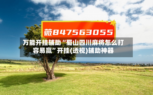 万能开挂辅助“蜀山四川麻将怎么打容易赢”开挂(透视)辅助神器-第2张图片
