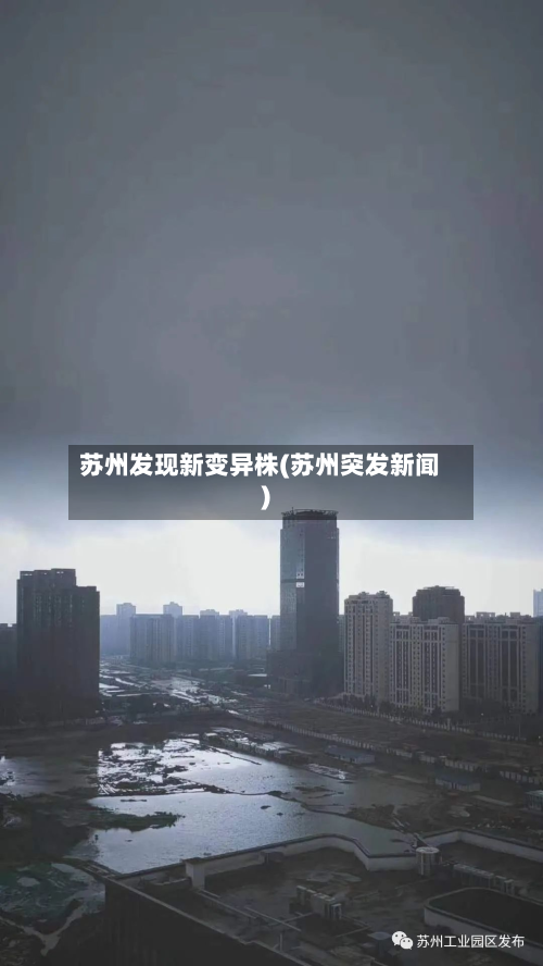 苏州发现新变异株(苏州突发新闻)