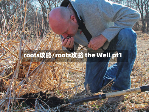 roots攻略/roots攻略 the Well pt1-第2张图片