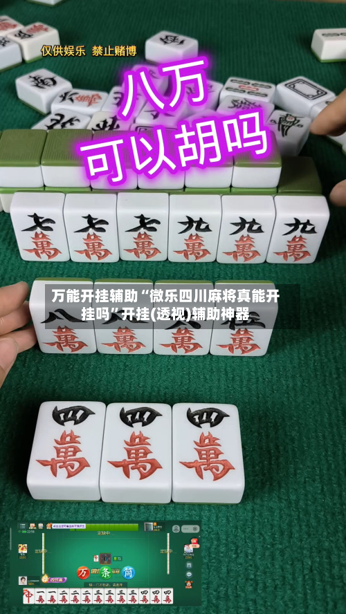 万能开挂辅助“微乐四川麻将真能开挂吗”开挂(透视)辅助神器-第2张图片