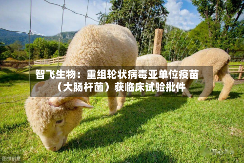 智飞生物:重组轮状病毒亚单位疫苗(大肠杆菌)获临床试验批件-第2张图片