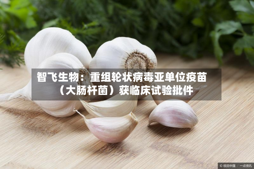 智飞生物:重组轮状病毒亚单位疫苗(大肠杆菌)获临床试验批件-第1张图片