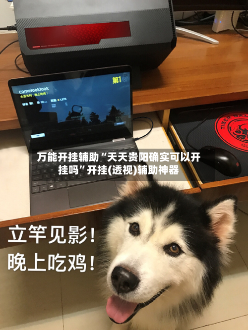 万能开挂辅助“天天贵阳确实可以开挂吗”开挂(透视)辅助神器