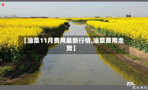 【油菜11月费用最新行情,油菜费用走势】-第2张图片
