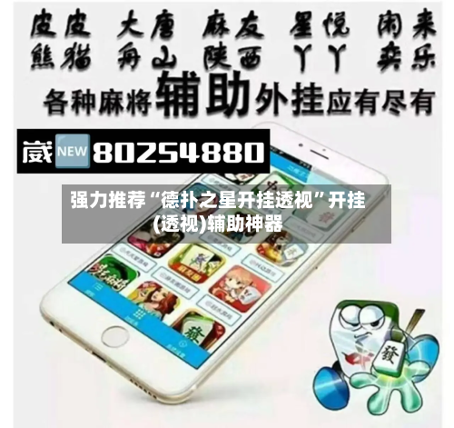 强力推荐“德扑之星开挂透视”开挂(透视)辅助神器-第2张图片