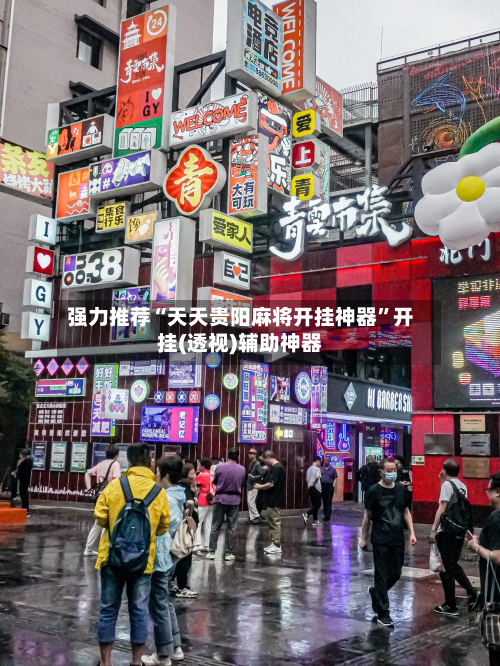 强力推荐“天天贵阳麻将开挂神器	”开挂(透视)辅助神器-第2张图片