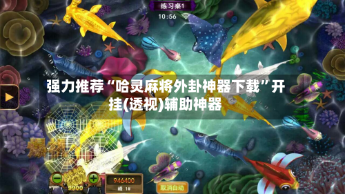 强力推荐“哈灵麻将外卦神器下载”开挂(透视)辅助神器-第2张图片