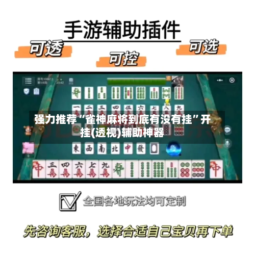 强力推荐“雀神麻将到底有没有挂”开挂(透视)辅助神器-第3张图片