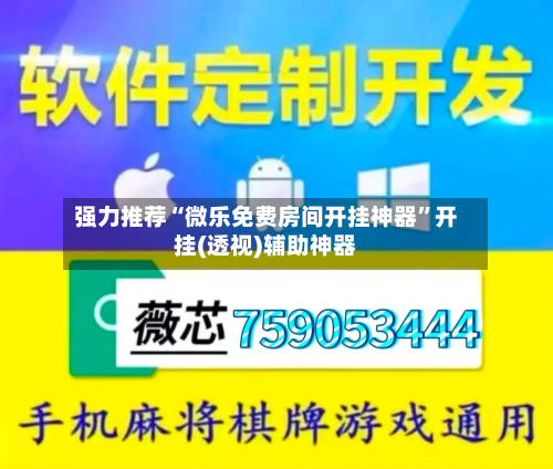 强力推荐“微乐免费房间开挂神器	”开挂(透视)辅助神器-第2张图片