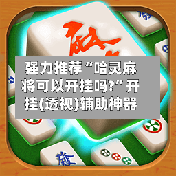 强力推荐“哈灵麻将可以开挂吗?”开挂(透视)辅助神器-第2张图片