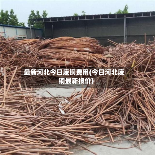 最新河北今日废铜费用(今日河北废铜最新报价)-第2张图片