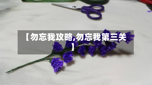 【勿忘我攻略,勿忘我第三关】