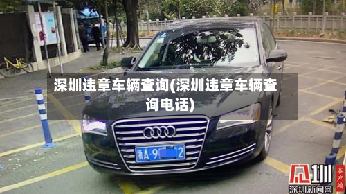 深圳违章车辆查询(深圳违章车辆查询电话)-第3张图片