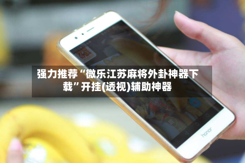 强力推荐“微乐江苏麻将外卦神器下载	”开挂(透视)辅助神器-第3张图片