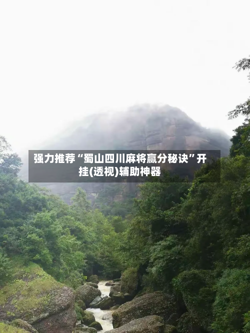 强力推荐“蜀山四川麻将赢分秘诀	”开挂(透视)辅助神器-第2张图片