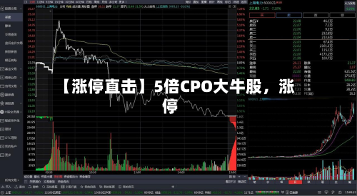【涨停直击】5倍CPO大牛股，涨停-第3张图片