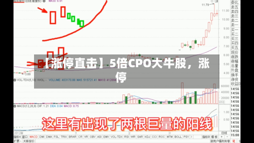 【涨停直击】5倍CPO大牛股，涨停-第2张图片