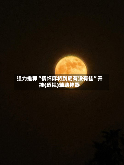 强力推荐“情怀麻将到底有没有挂”开挂(透视)辅助神器-第2张图片
