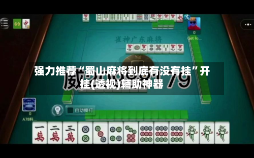 强力推荐“蜀山麻将到底有没有挂	”开挂(透视)辅助神器-第2张图片