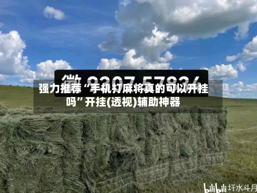 强力推荐“手机打麻将真的可以开挂吗”开挂(透视)辅助神器