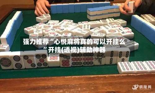 强力推荐“心悦麻将真的可以开挂么”开挂(透视)辅助神器-第2张图片