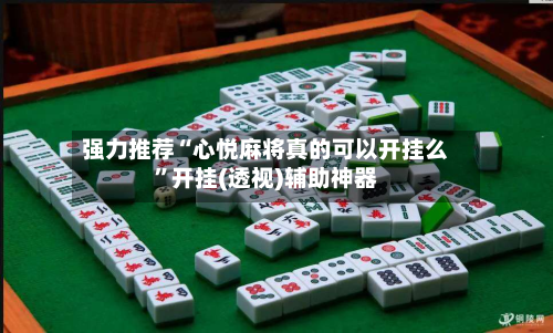 强力推荐“心悦麻将真的可以开挂么	”开挂(透视)辅助神器-第3张图片