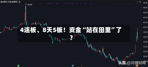 4连板	、8天5板！资金“站在田里”了？-第2张图片