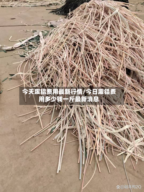今天废铝费用最新行情/今日废铝费用多少钱一斤最新消息-第2张图片