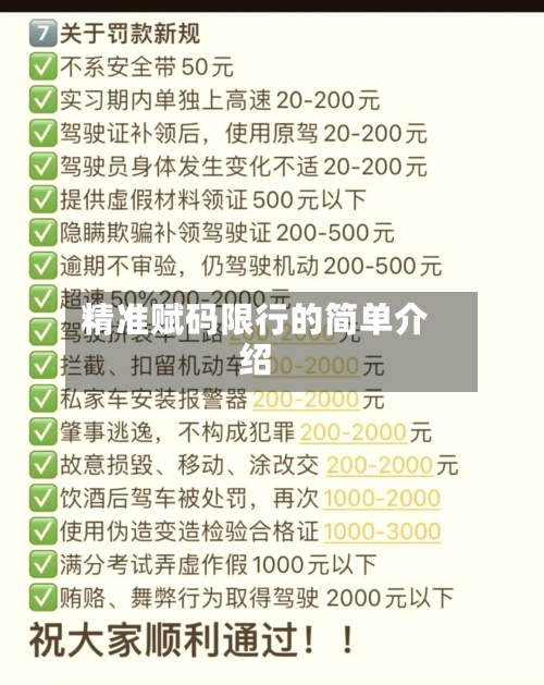 精准赋码限行的简单介绍