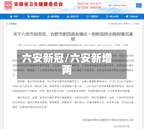 六安新冠/六安新增两-第3张图片