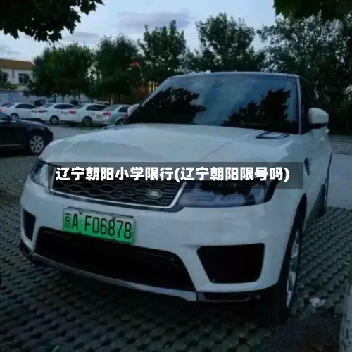 辽宁朝阳小学限行(辽宁朝阳限号吗)