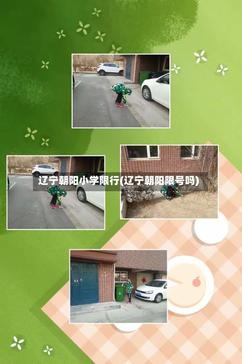 辽宁朝阳小学限行(辽宁朝阳限号吗)-第3张图片