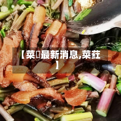 【菜粨最新消息,菜荭】
