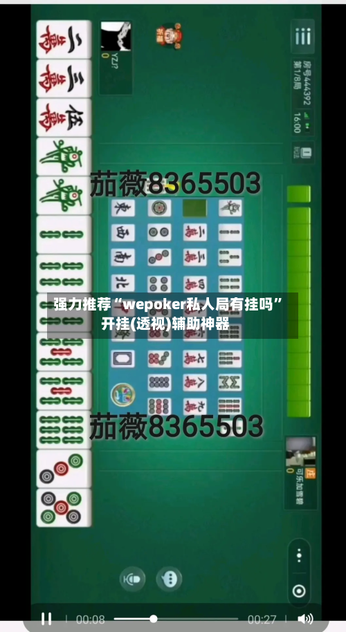 强力推荐“wepoker私人局有挂吗”开挂(透视)辅助神器-第2张图片