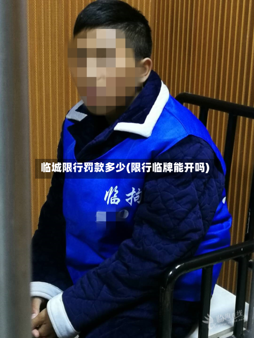 临城限行罚款多少(限行临牌能开吗)