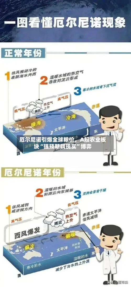 厄尔尼诺引爆全球粮价，A股农业板块“强预期弱现实	”博弈-第2张图片