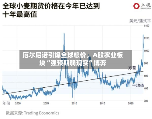 厄尔尼诺引爆全球粮价	，A股农业板块“强预期弱现实”博弈-第1张图片
