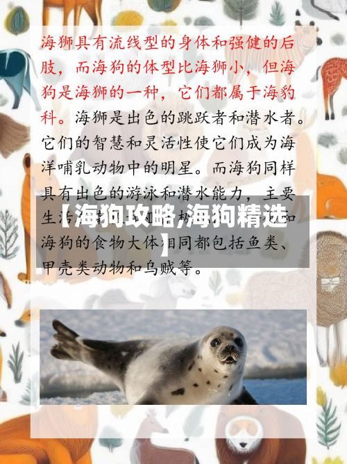 【海狗攻略,海狗精选】