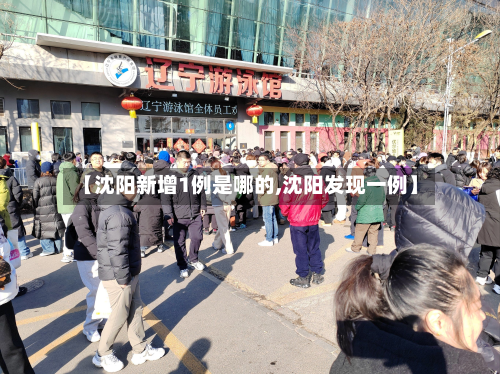 【沈阳新增1例是哪的,沈阳发现一例】-第2张图片