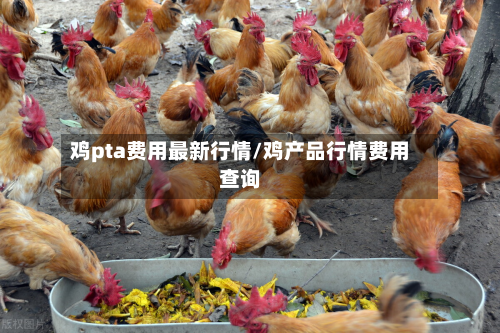 鸡pta费用最新行情/鸡产品行情费用查询-第2张图片
